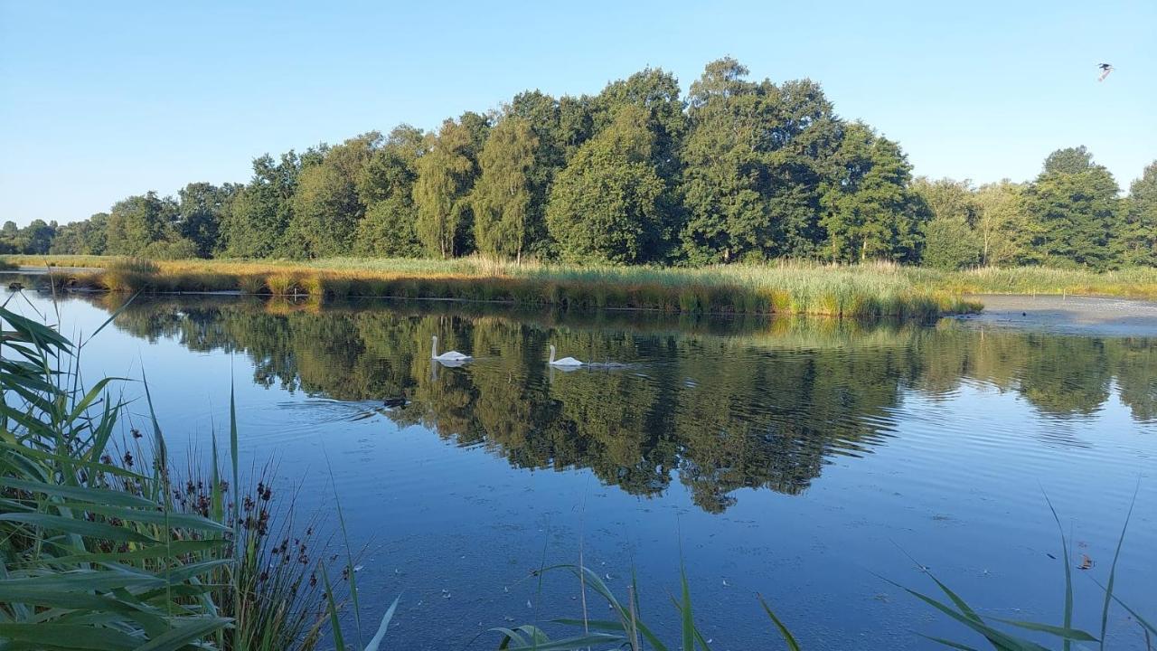 Helle Ferienwohnung In Nettetal Bei Venlo Kültér fotó